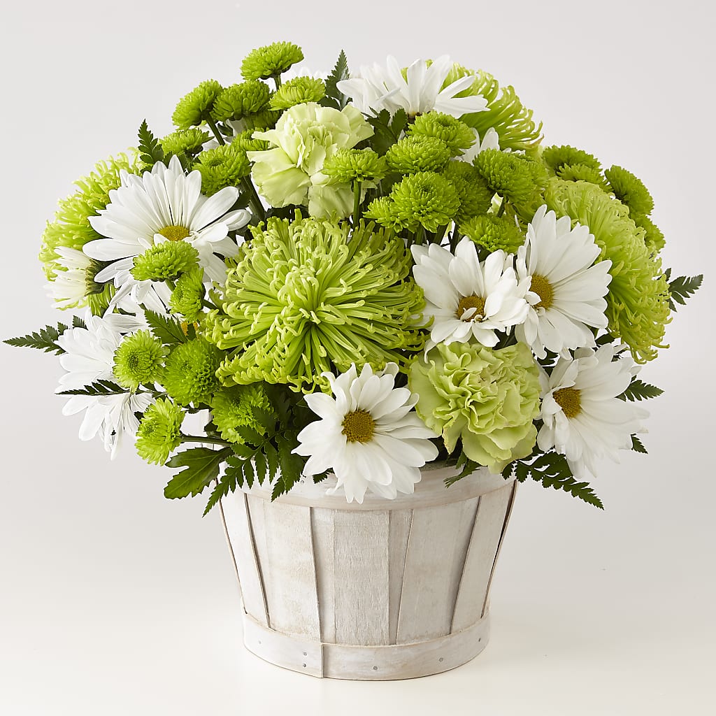 Lucky Charm Basket (Standard) – Sunflower Florist Of Virginia Llc, Alexandria VA