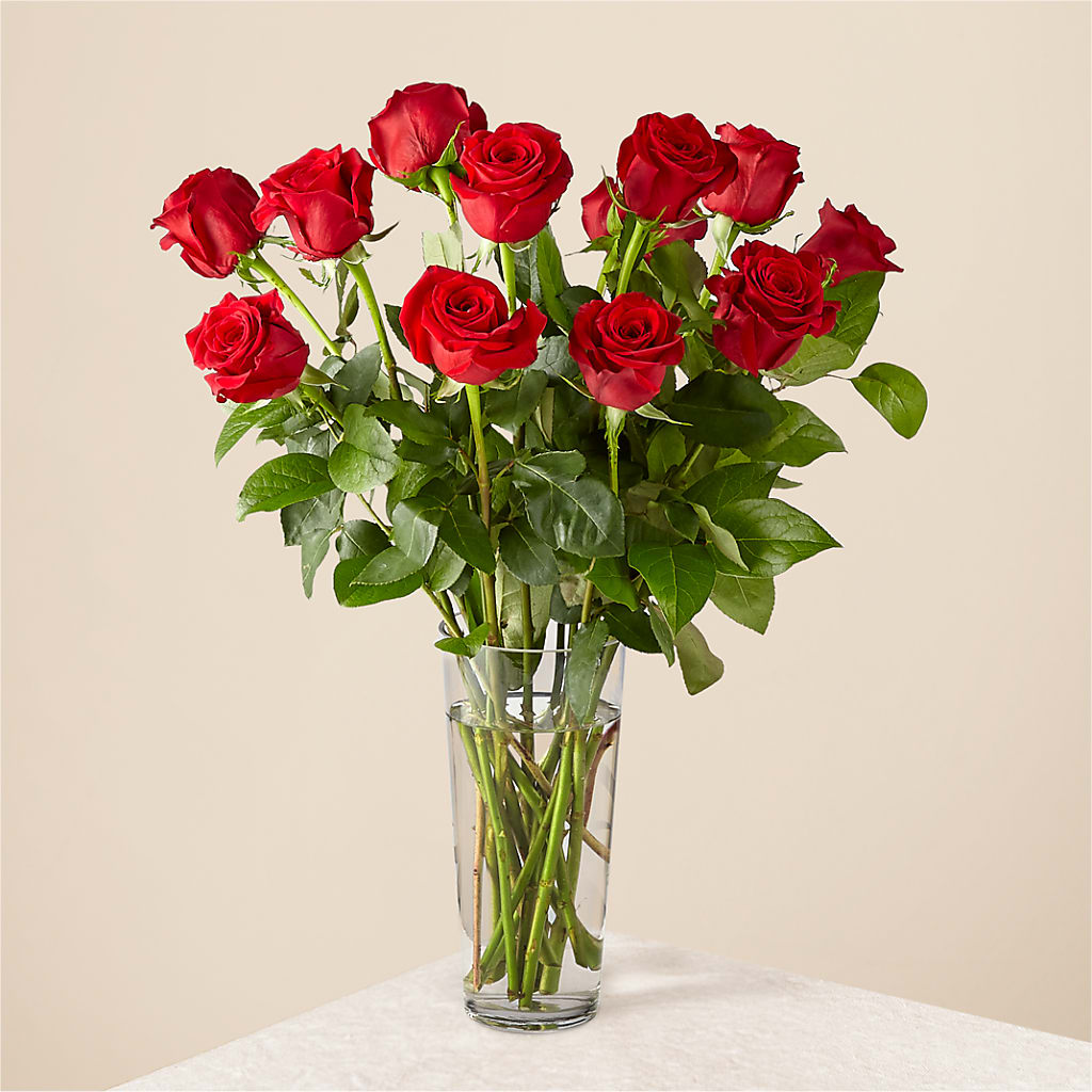 Long Stem Red Rose Bouquet – Sunflower Florist Of Virginia Llc, Alexandria VA