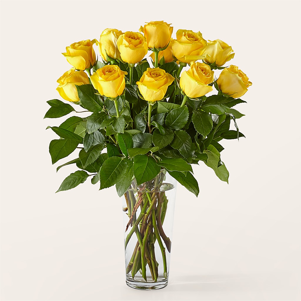 Long Stem Yellow Rose Bouquet – Sunflower Florist Of Virginia Llc, Alexandria VA