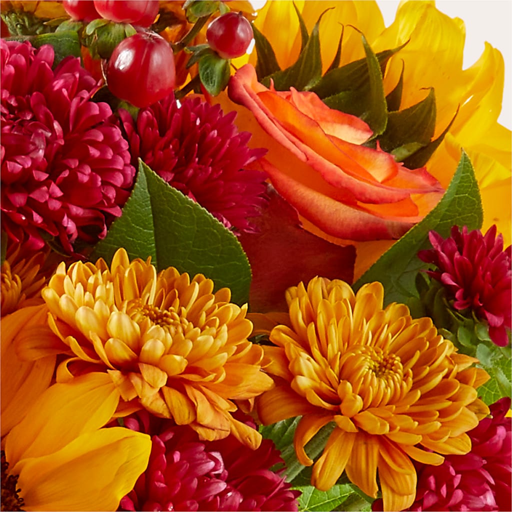 Sweater Season - A Florist Original – Sunflower Florist Of Virginia Llc, Alexandria VA