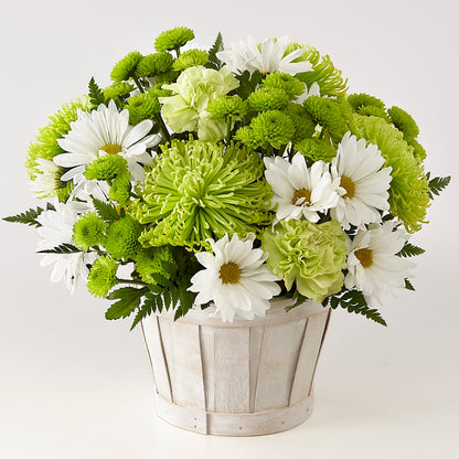 Lucky Charm Basket (Standard) –  Sunflower Florist Of Virginia Llc, Alexandria VA