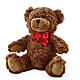 Adorable Plush Bear –  Sunflower Florist Of Virginia Llc, Alexandria VA