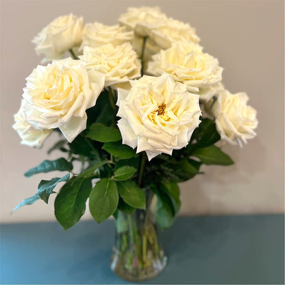 Long Stem Yellow Rose Bouquet –  Sunflower Florist Of Virginia Llc, Alexandria VA