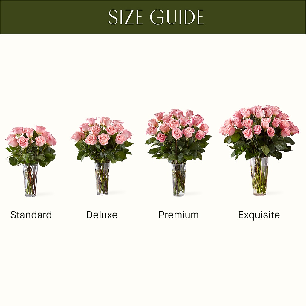 Long Stem Pink Rose Bouquet –  Sunflower Florist Of Virginia Llc, Alexandria VA