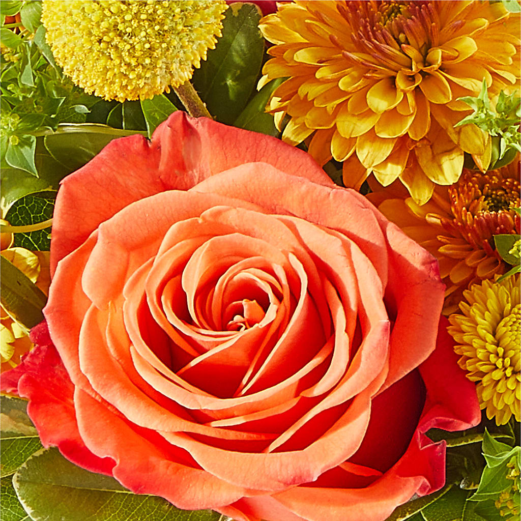 Gourdgeous Pumpkin –  Sunflower Florist Of Virginia Llc, Alexandria VA