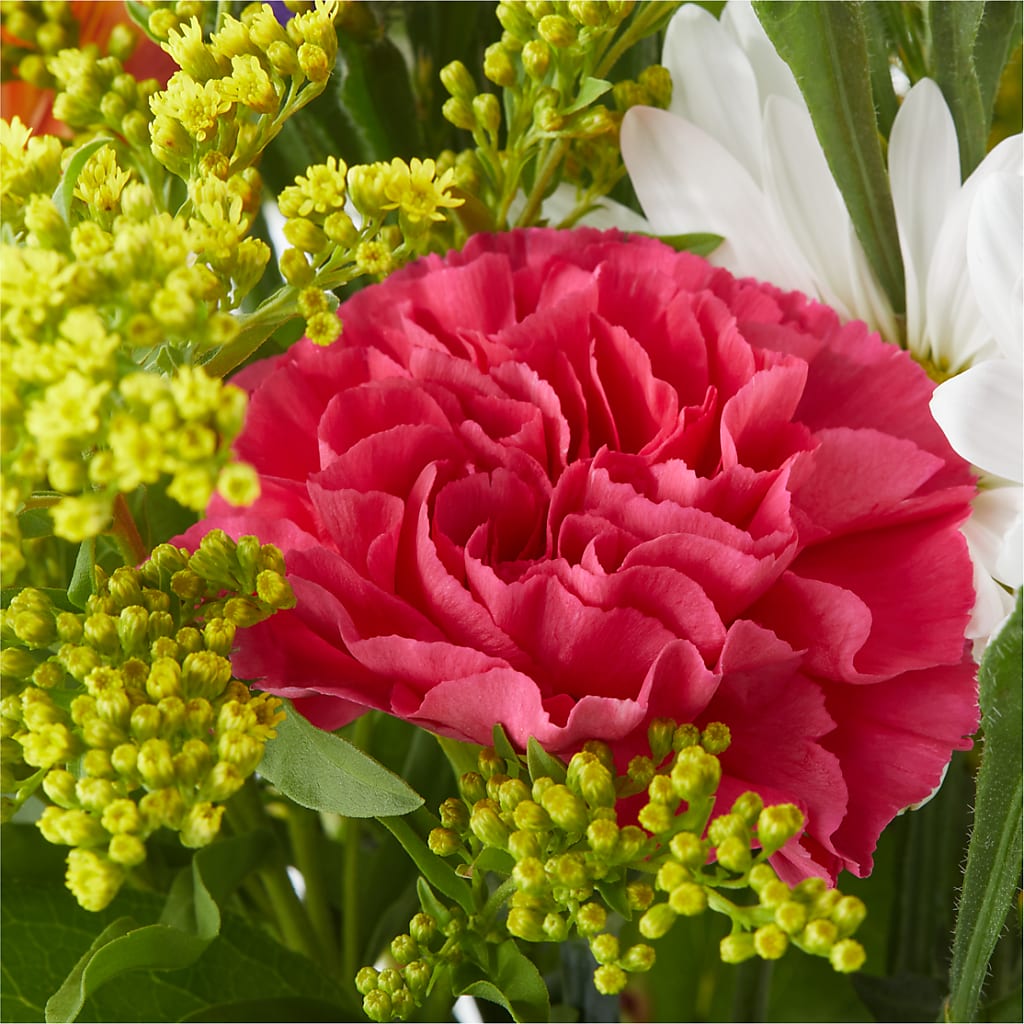 Oopsie Daisy Bouquet –  Sunflower Florist Of Virginia Llc, Alexandria VA