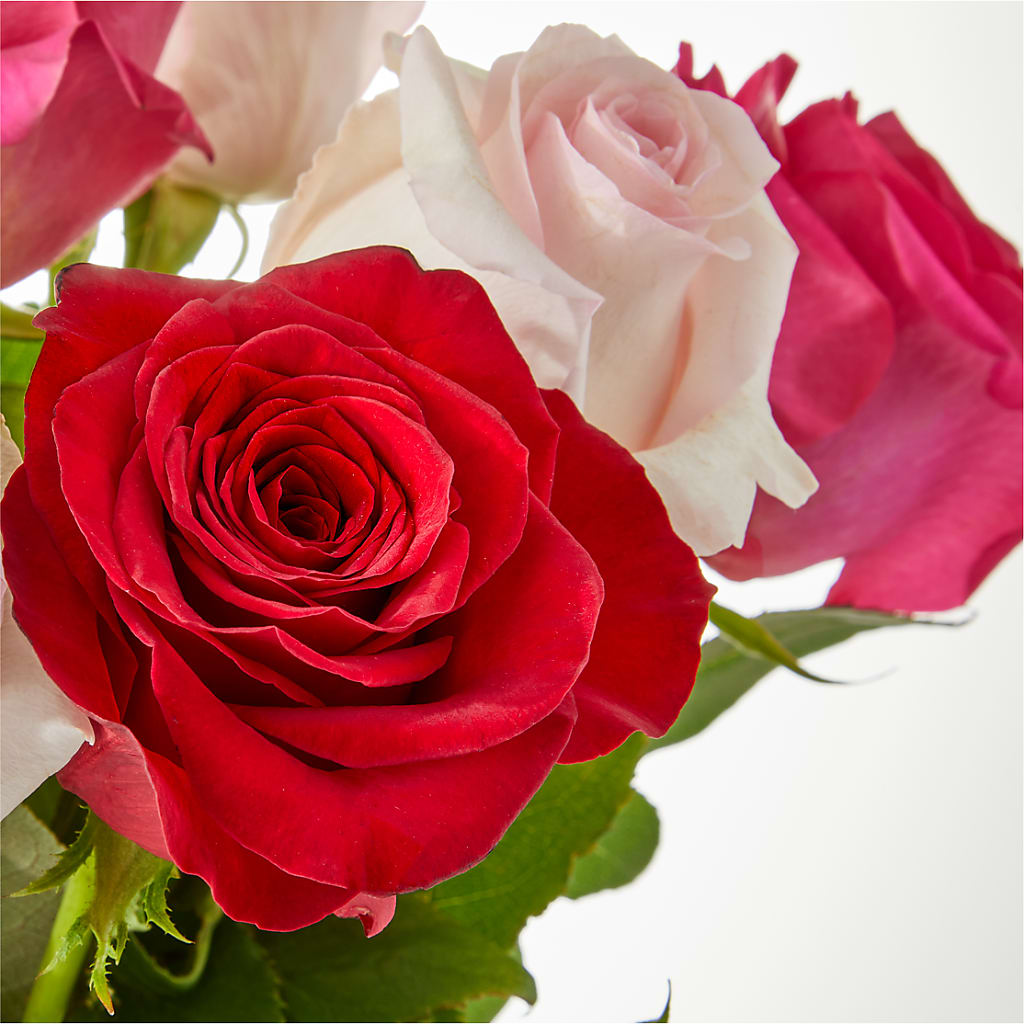 Charming Rose Bouquet –  Sunflower Florist Of Virginia Llc, Alexandria VA