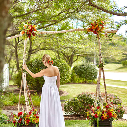 Arbor of Love Archway –  Sunflower Florist Of Virginia Llc, Alexandria VA