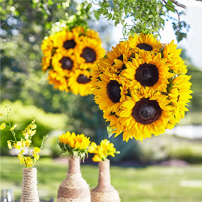 Sublime Garden Hanging Arrangement –  Sunflower Florist Of Virginia Llc, Alexandria VA