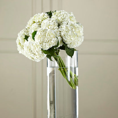 White Hydrangea Hand-Tied Bouquet –  Sunflower Florist Of Virginia Llc, Alexandria VA