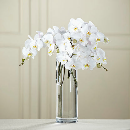 White Phalaenopsis Bouquet –  Sunflower Florist Of Virginia Llc, Alexandria VA