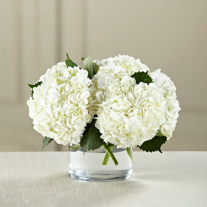 White Hydrangea Bouquet –  Sunflower Florist Of Virginia Llc, Alexandria VA